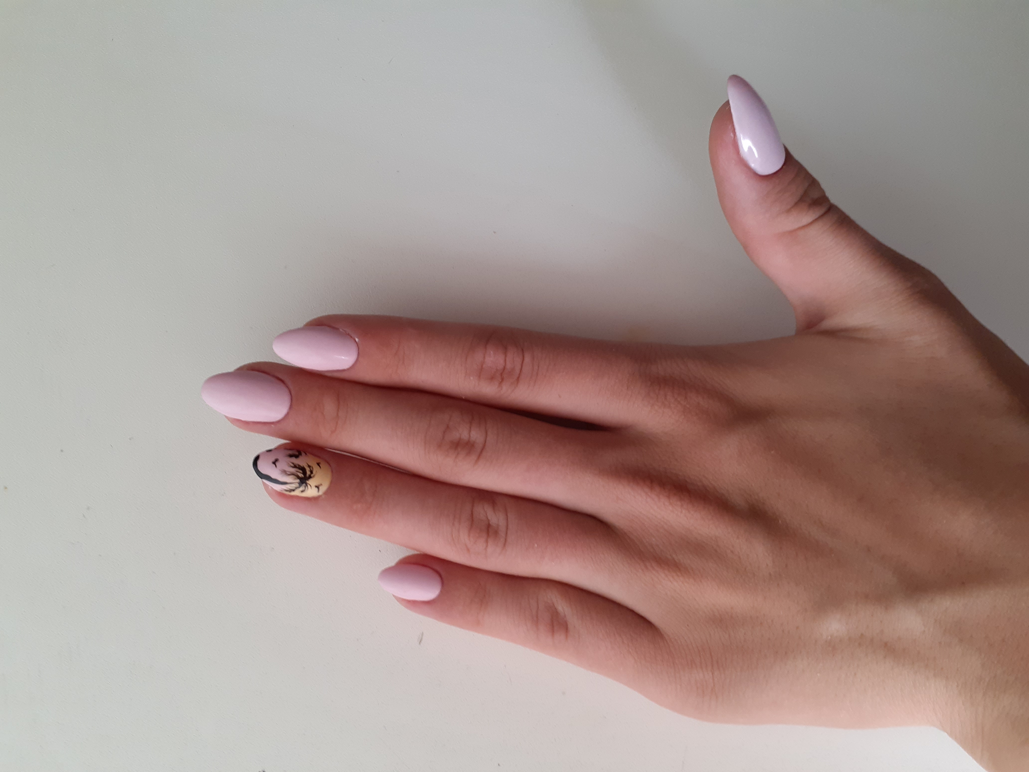 Маникюр с пальмами в розовом цвете на короткие ногти.