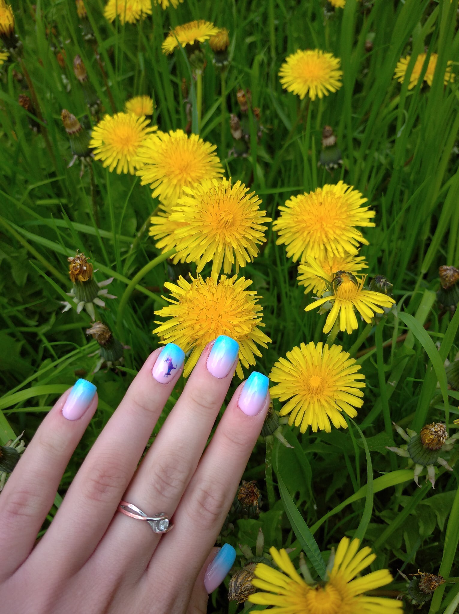 Маникюр с градиентом в голубом цвете на короткие ногти.
