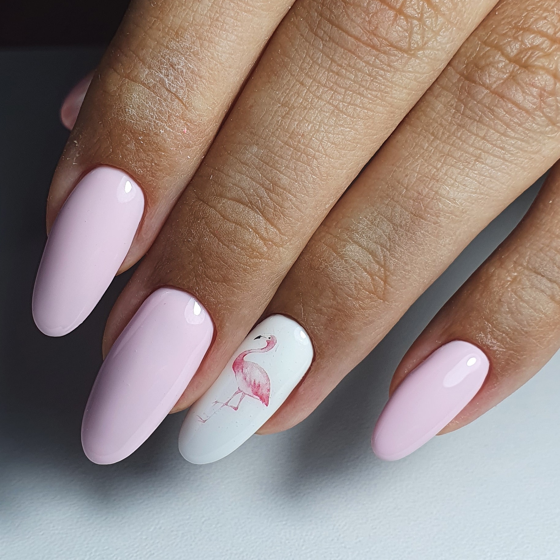 Маникюр с фламинго в розовом цвете на длинные ногти.