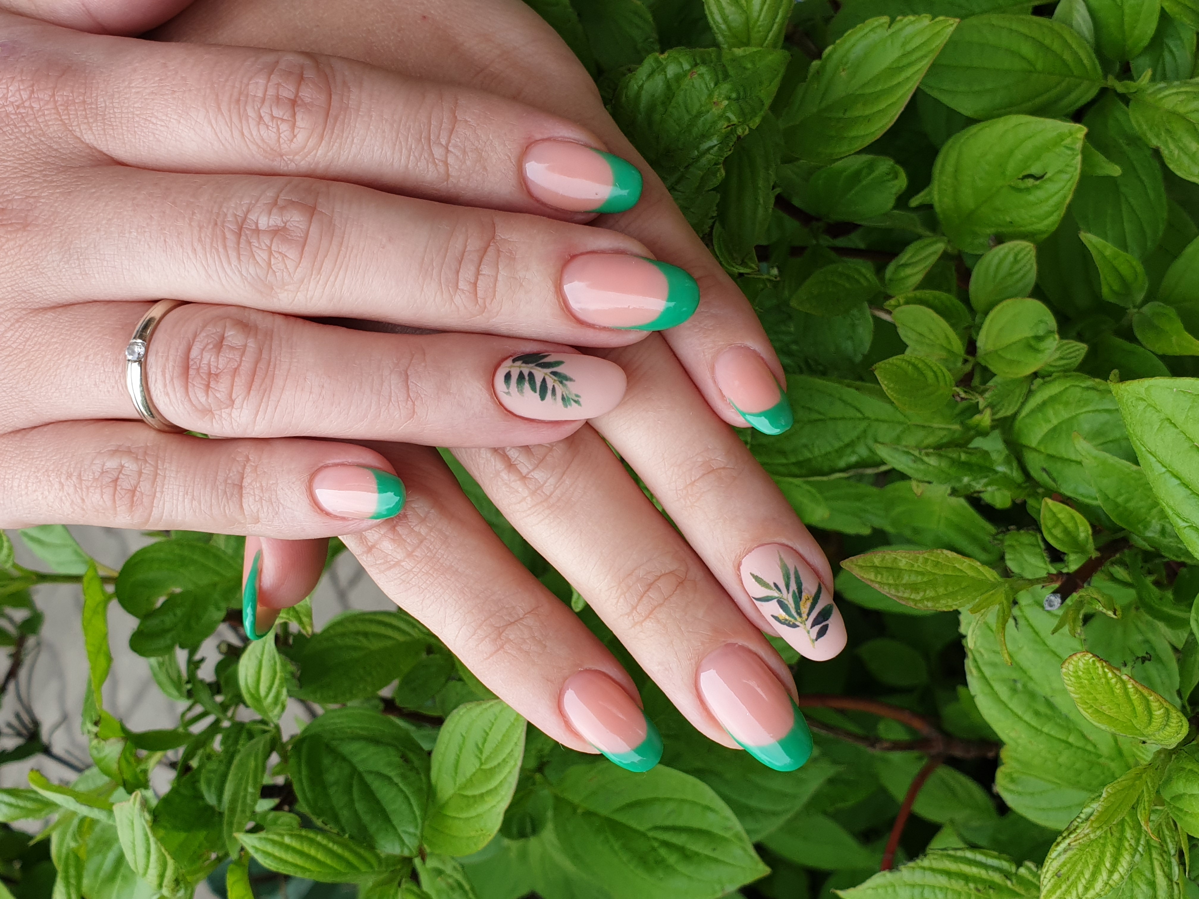 Френч с растительными слайдерами в зеленом цвете на длинные ногти.