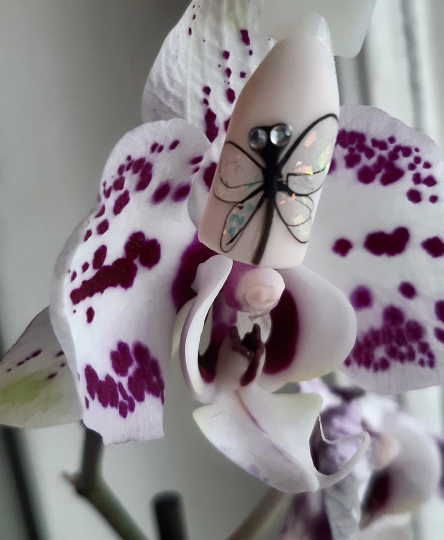 Маникюр со стрекозой в молочном цвете.