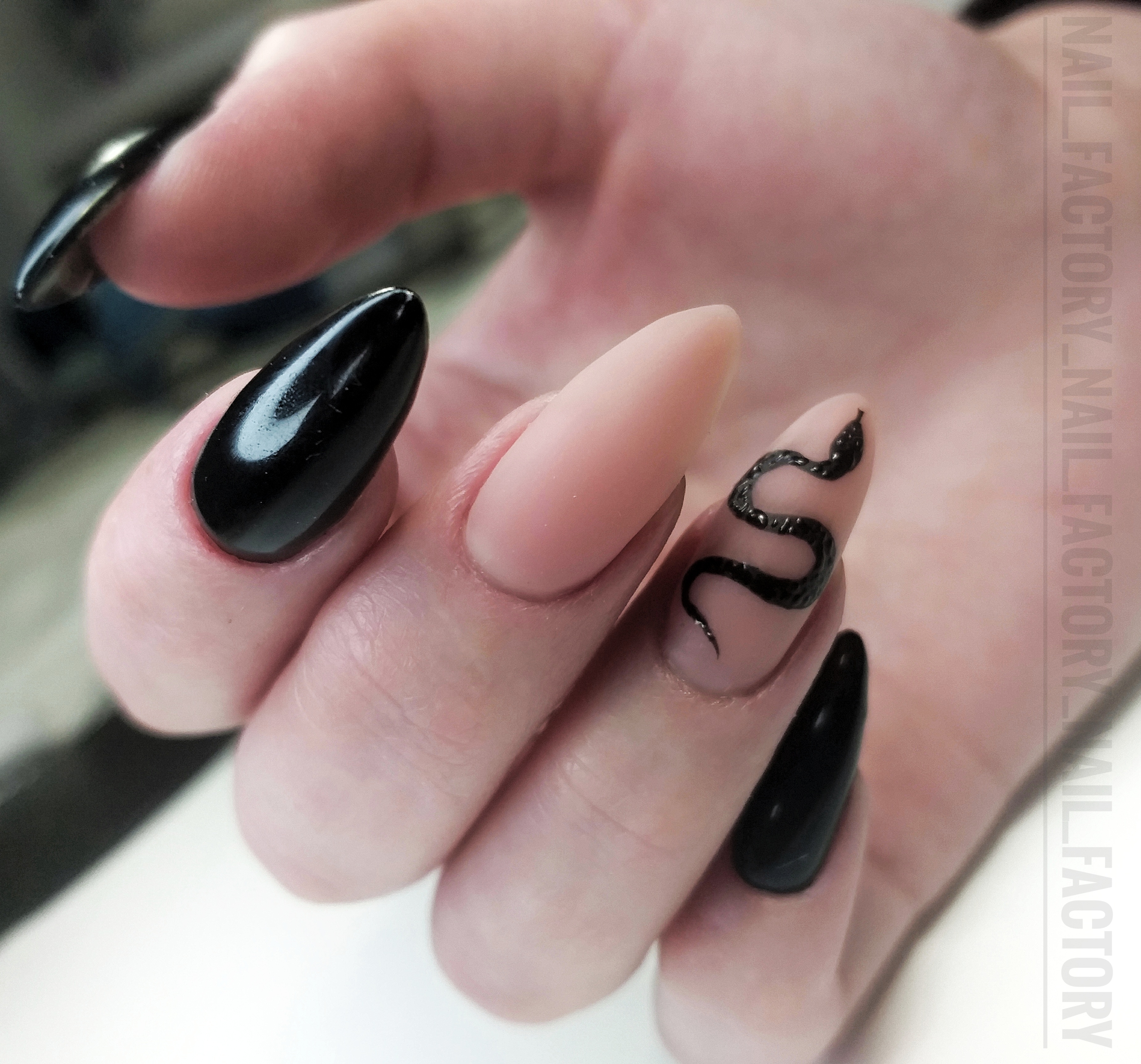 Маникюр со змеей в черном цвете на длинные ногти.